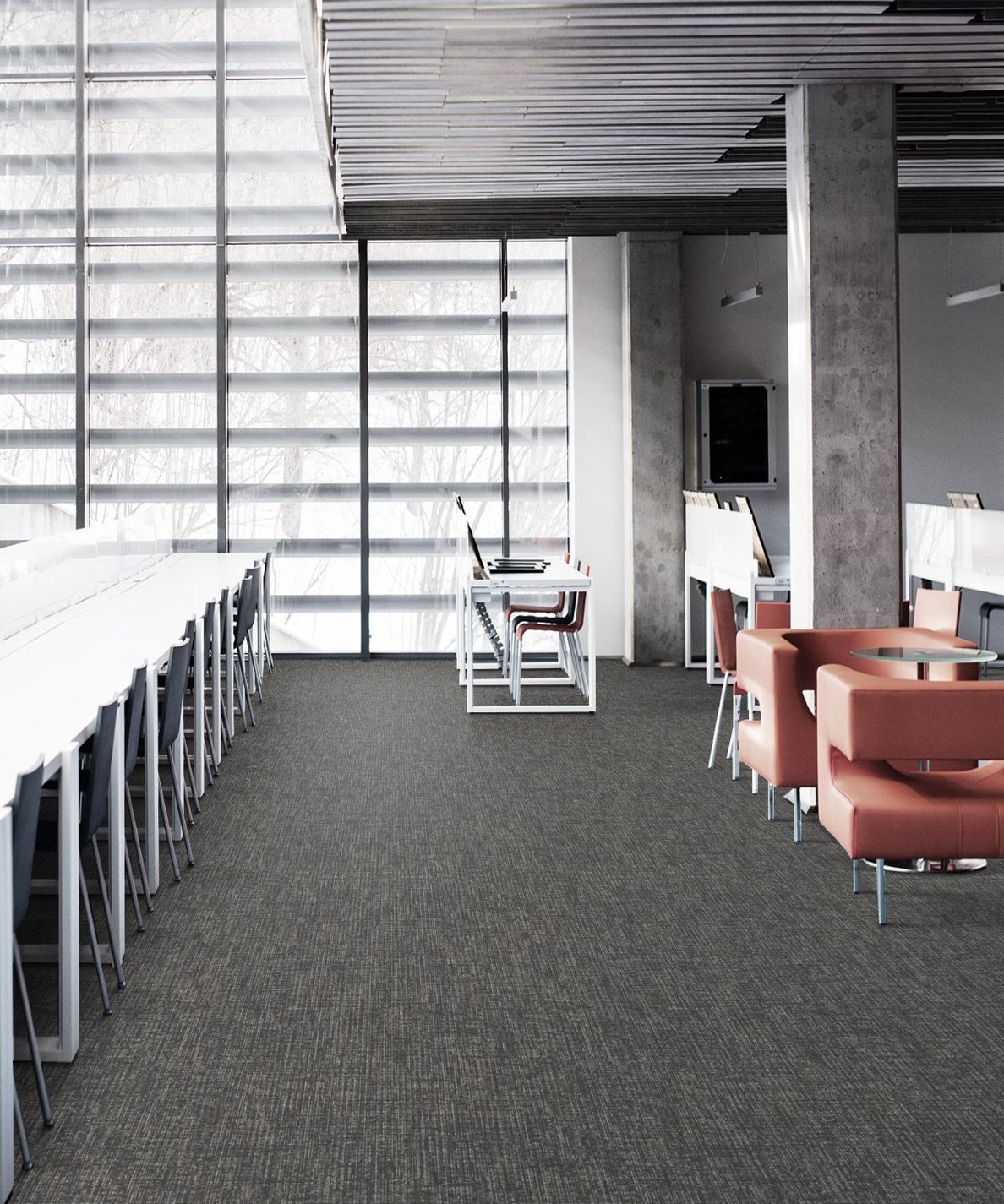 6AMYT4-400055-Broadloom-Broadloom-Library1 (1)